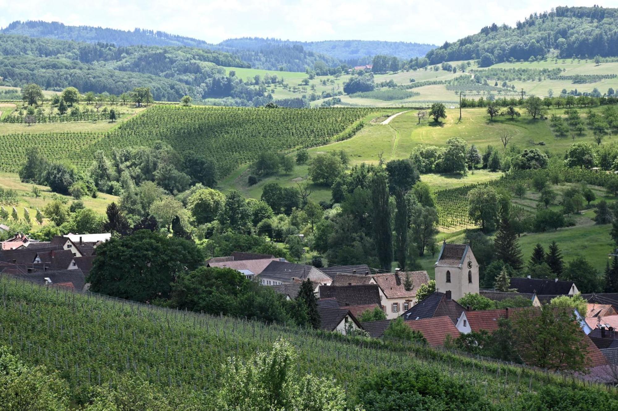 Am Paradies Bed & Breakfast Mullheim  Bagian luar foto